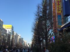 -秋叶原电器街