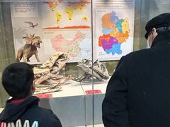 -北京周口店北京人遗址博物馆