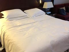 -广州天河希尔顿酒店