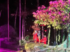 -三亚红色娘子军演艺公园景区