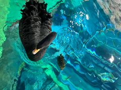 -上海海洋水族馆