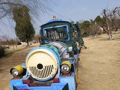 -祥源·阜阳生态乐园