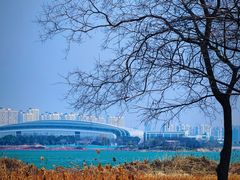 -贡湖湾湿地公园