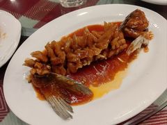 -哈尔滨阳光饺子园(阳光花园店)