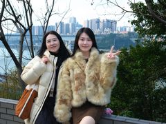 -李子坝梁山鸡(李子坝大鸡哥店)