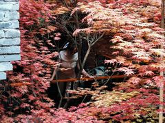 -鱼桥巷·美学川菜