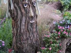 -共青国家森林公园-售票处