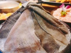 -渝涯重庆豆花老火锅(中赢国际店)