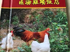 -区海鸡场饭店(石壁店)