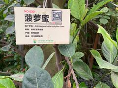 -呀路古热带植物园