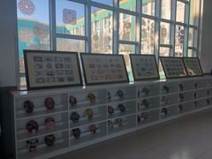 -首都师范大学附属回龙观育新学校
