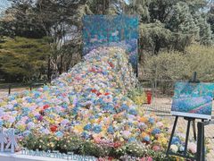 -上海共青森林公园