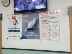 -中农大我爱我爱动物医院·核磁CT·猫病·24小时夜诊中心(石佛营店)