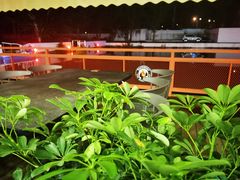 -向外鱼乐·土菜·虹鳟鱼