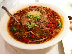 香辣水煮牛肉-朱仔记食府(江南大道店)