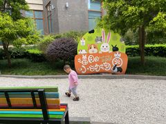 -成都安仁福朋喜来登酒店