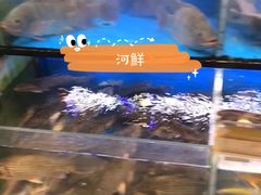 -盒马鲜生(皇庭广场店)