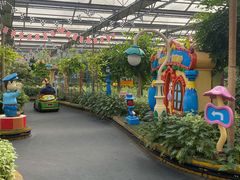 -南宫五洲植物乐园