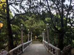 -叶家花园