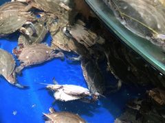-蓝珊甄选海鲜自助·火锅大排档(近阿那亚店)