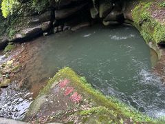 -碧峰峡风景区