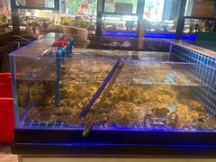 -锅儿欢海鲜火锅烤肉自助餐(东港凯虹店)