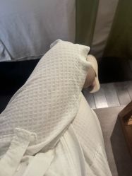 -梵隐SPA