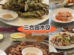 -三合园水饺(二马路店)
