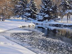 -长白岛森林公园