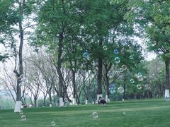 -重庆中央公园(渝北区)