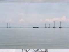 -宝安西湾红树林湿地公园