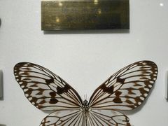 -上海昆虫博物馆