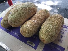 -阿龙榴莲摊
