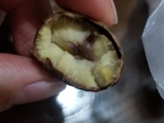 -高记福桂桂花糖炒栗(鼓楼店)