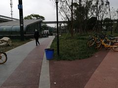 -神仙树公园