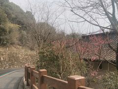 -杭州半山国家森林公园