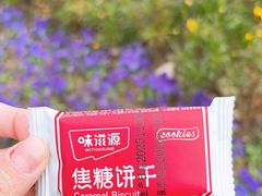 -大润发(康桥店)