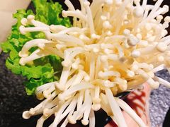 -羊肉街口老银川滩羊涮肉馆