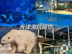 -海合安武汉极地海洋公园