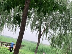 -西青郊野公园
