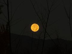 -美人鱼悬崖海景餐厅(鹿嘴山庄店)