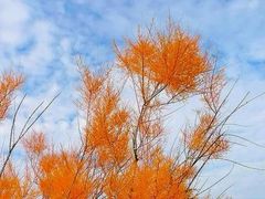 -半勺舒舒生日蛋糕店