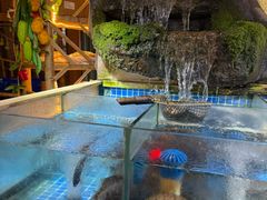 -头上红煨盐鸡·非遗院子餐厅