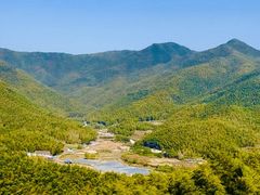 -宁波浙东大竹海景区