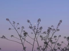 -云碧峰国家森林公园