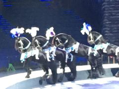 -珠海横琴长隆《卡卡虎奇遇记》