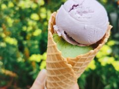 甜筒雪糕双球-成裕雪糕店(士多店)