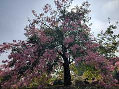 -中国移动南方基地