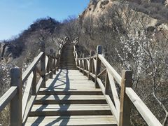 -大岭沟猕猴桃谷风景区
