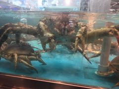 -盒马鲜生(宝地店)